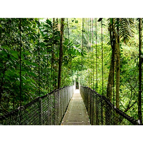 HP EliteBook 6 G1a Next Gen AI PC Copilot+ PC AMD Ryzen AI 5 340 Laptop 35.6 cm (14") WUXGA 24 GB DDR5-SDRAM 512 GB SSD Wi-Fi 6E (802.11ax) Windows 11 Pro Silver