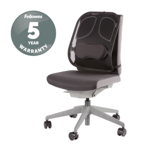 Fellowes Back Support for Office Chair - Professional Series Mesh Office Chair Back Support - Easy To Attach - H19.53 x W30.32 x D36.99cm
