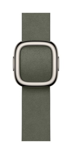 Apple 42mm Sage Grey Modern Buckle - Small