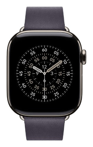 Apple 42mm Midnight Purple Modern Buckle - Large