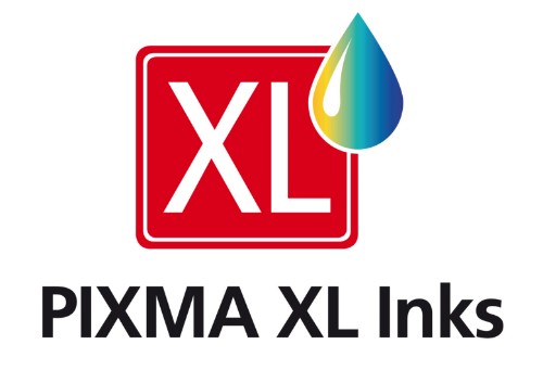 Canon 6431B010/PGI-550PGBKXL Ink cartridge black high-capacity pigmented twin pack Blister, 2x500 pages ISO/IEC 24711 5615 Photos 22ml Pack=2 for Canon Pixma IP 8700/IX 6850/MG 5450/MG 6350/MX 725