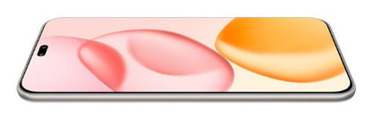 Honor 400 Pro 17 cm (6.7") MagicOS 9.0 5G 12 GB 512 GB 5300 mAh Grey