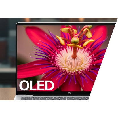 HP OmniBook 5 NGAI OmniBook 5 Next Gen AI 14-he0001na Copilot+ PC Qualcomm Snapdragon X1-26-100 Laptop 35.6 cm (14") 2K 16 GB LPDDR5x-SDRAM 512 GB SSD Wi-Fi 6E (802.11ax) Windows 11 Home Silver