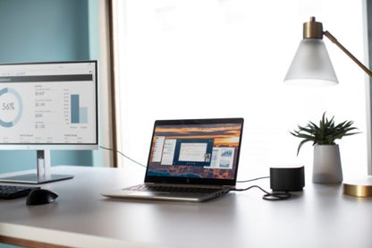 HP USB Fingerprint Mouse