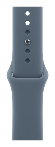 Apple MFFV4ZM/A Smart Wearable Accessories Band Blue Fluoroelastomer