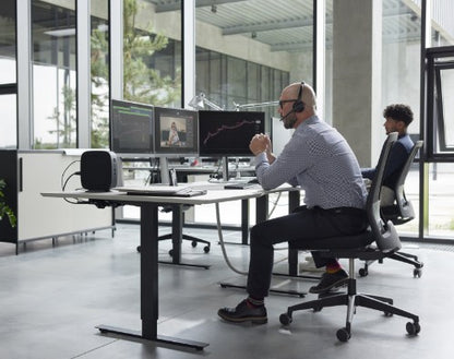 HP Elite t755 3 GHz Windows 10 IoT Enterprise 1.4 kg Black V2546