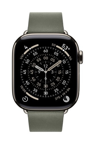 Apple 42mm Sage Grey Modern Buckle - Small