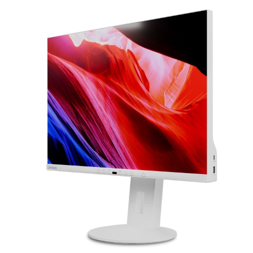 Lenovo C24d-20 computer monitor 61 cm (24") 1920 x 1200 pixels Full HD LED Grey, White