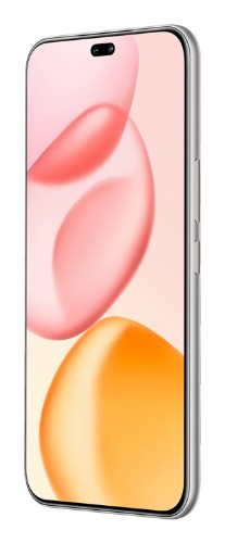 Honor 400 Pro 17 cm (6.7") MagicOS 9.0 5G 12 GB 512 GB 5300 mAh Grey