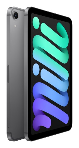 Apple iPad mini 7th Gen 8.3in Wi-Fi+Cellular 512GB - Grey