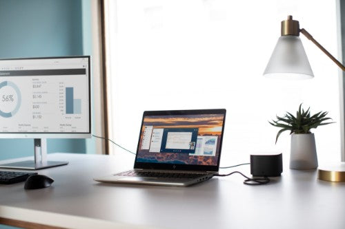 HP USB Fingerprint Mouse