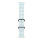 Apple 49mm Ice Blue Ocean Band - Black Titanium Finish