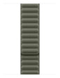 Apple 42mm Sage Grey Magnetic Link - M/L