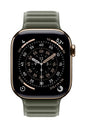 Apple 42mm Sage Grey Magnetic Link - S/M