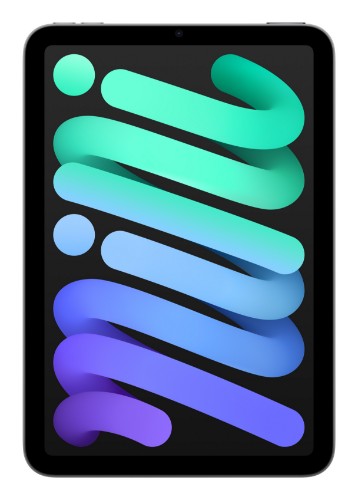 Apple iPad mini Wi-Fi 256GB - Space Grey