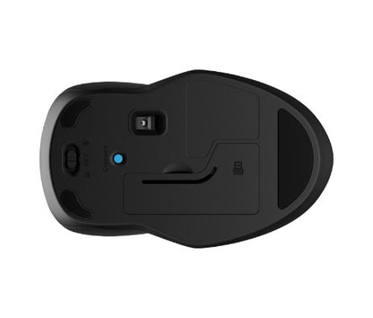 HP 250 Dual Mouse