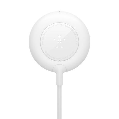 Belkin BOOST↑CHARGE Smartphone White Wireless charging Indoor
