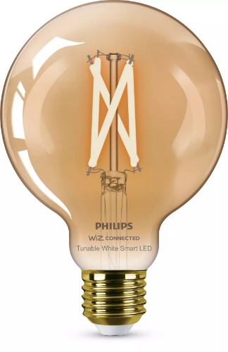 Philips Filament Globe amber 7W (Eq.50W) G95 E27