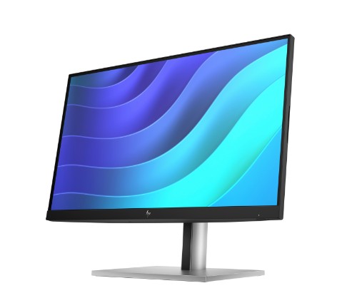 HP E22 G5 FHD Monitor