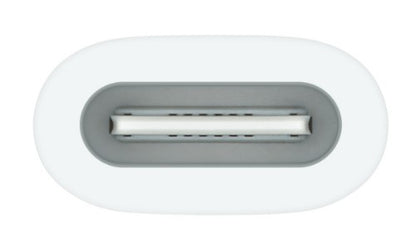 Apple USB-C to Pencil Adapter White 1 pc(s)