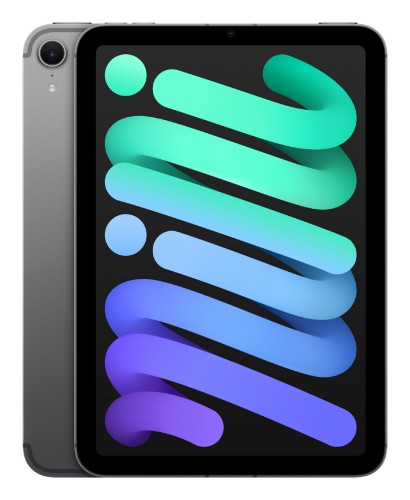 Apple iPad mini 7th Gen 8.3in Wi-Fi+Cellular 128GB - Grey