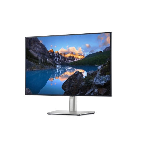 DELL UltraSharp U2421E computer monitor 61.2 cm (24.1") 1920 x 1200 pixels WUXGA LCD Black, Silver