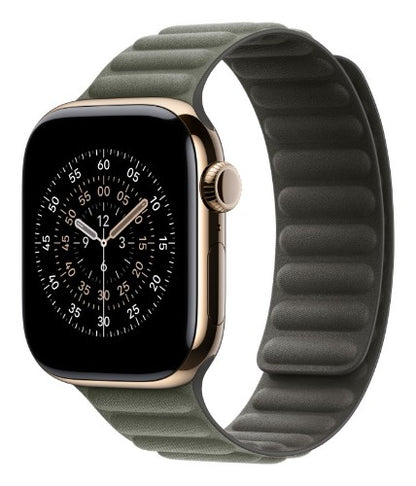 Apple 42mm Sage Grey Magnetic Link - M/L