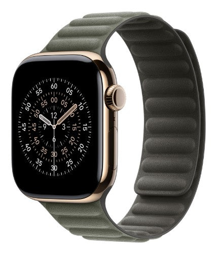Apple 42mm Sage Grey Magnetic Link - M/L