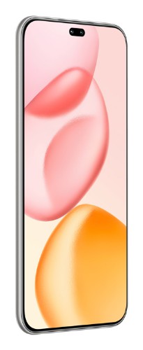 Honor 400 Pro 17 cm (6.7") MagicOS 9.0 5G 12 GB 512 GB 5300 mAh Grey