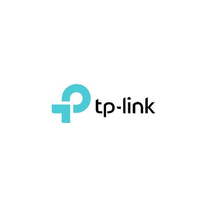 TP-Link Smart Floodlight Camera