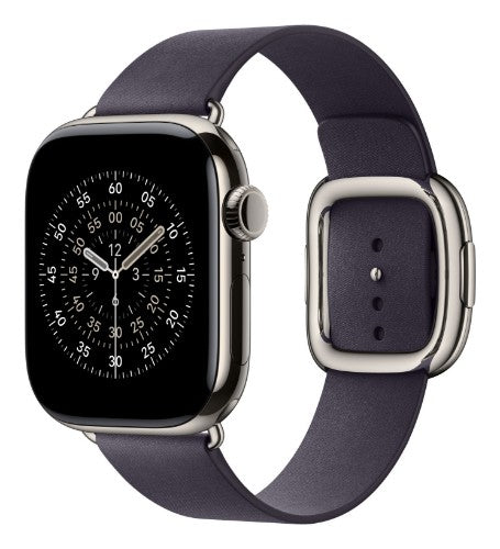Apple 42mm Midnight Purple Modern Buckle - Large