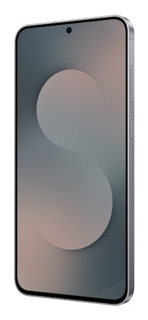 Samsung Galaxy S25 FE Enterprise Edition 17 cm (6.7") Dual SIM Android 16.0 5G USB Type-C 8 GB 128 GB 4900 mAh Black