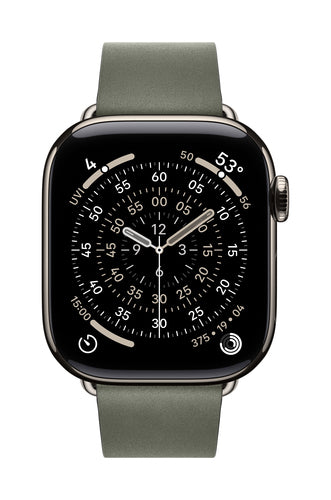 Apple 42mm Sage Grey Modern Buckle - Large
