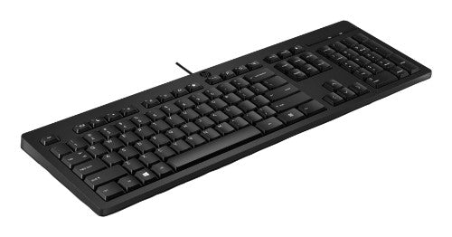HP KBD 125 WD keyboard USB Black
