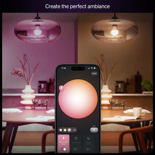 Philips Hue Essential WCA 806 A60 E27 1P EU