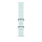 Apple 49mm Ice Blue Ocean Band - Natural Titanium Finish