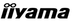 iiyama